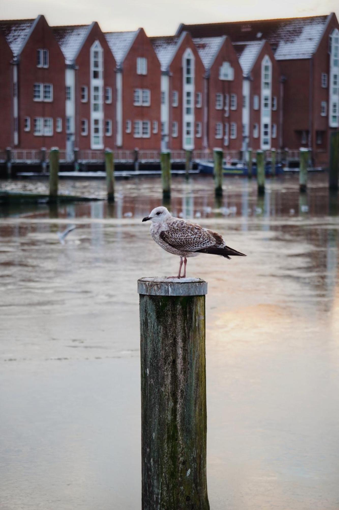Ferienhus #1 Nordfriesland